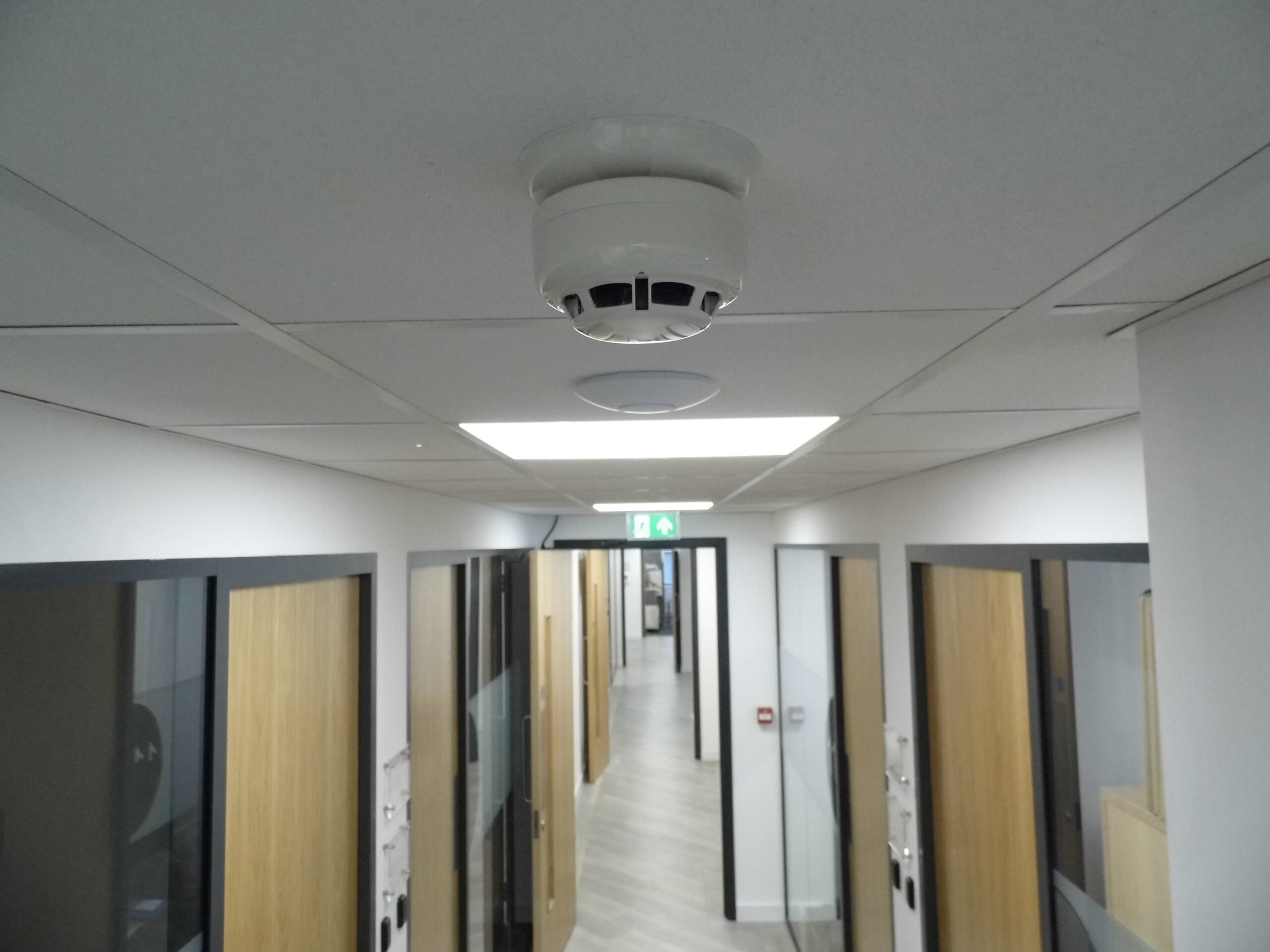 Hochiki-Head-Ceiling-scaled
